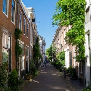 Narrow brick street lined with historic houses and greenery in Haarlem