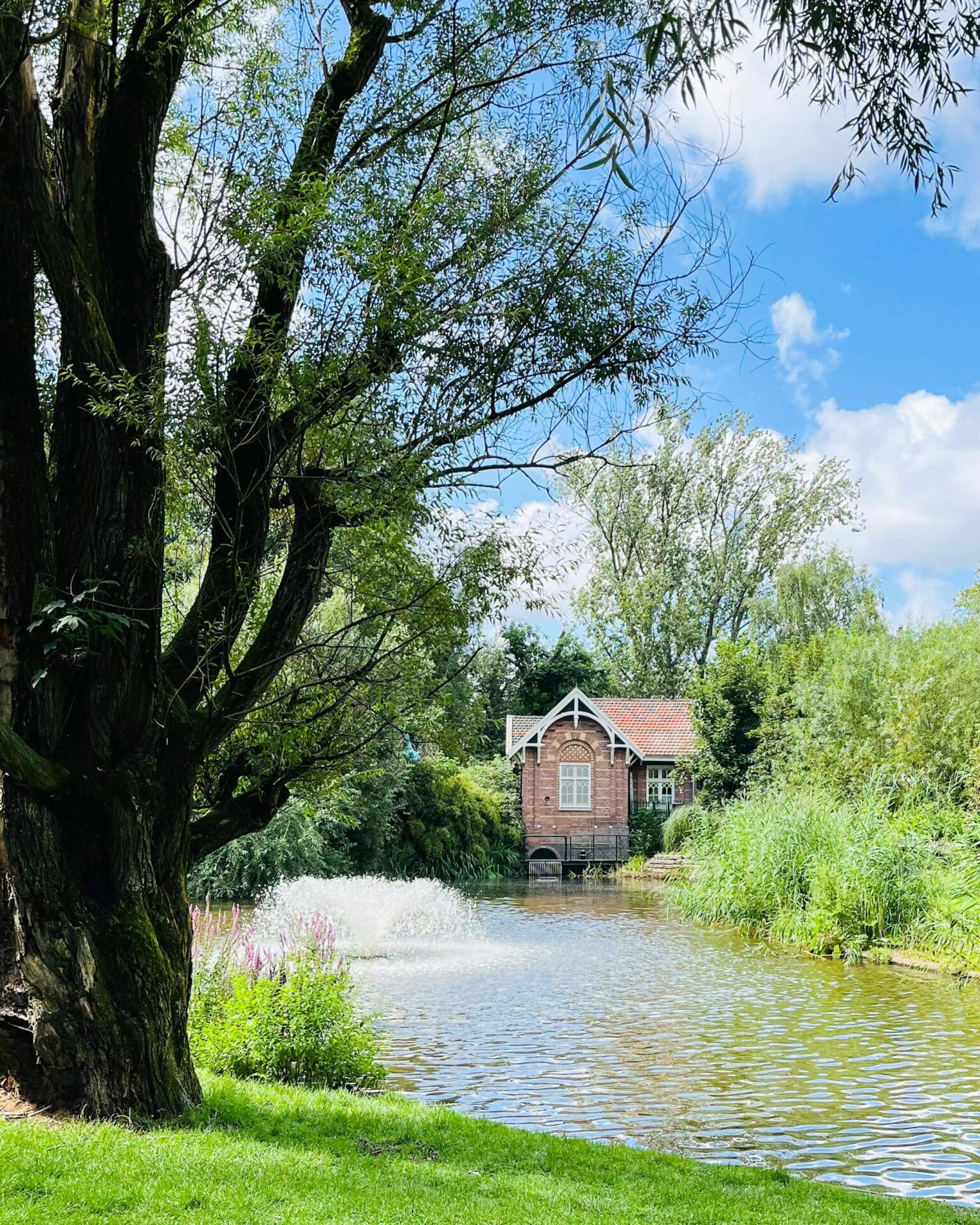 Schoonhoven